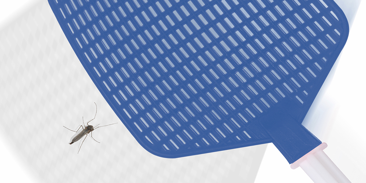 Mosquito Control - Mosquito World